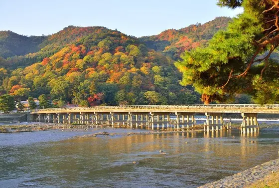 紅葉は11月中旬から下旬が見頃なそうな。