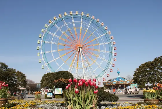 子供も喜ぶ遊園地スポット