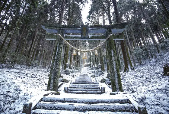 雪景色⛄️