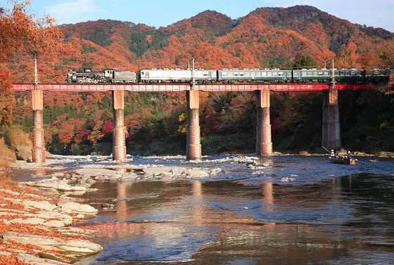 紅葉の時期