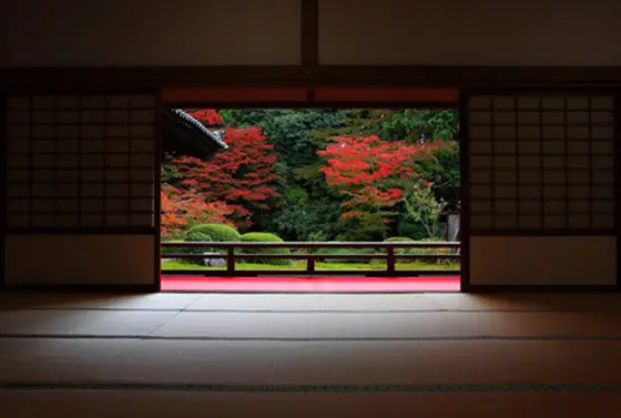 能之間から眺める紅葉庭園