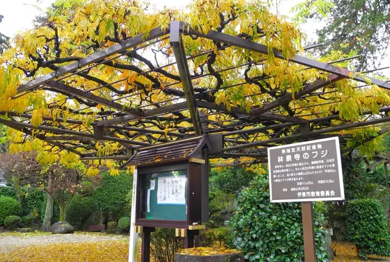 県指定天然自然物
