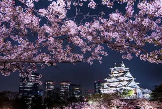 西の丸庭園