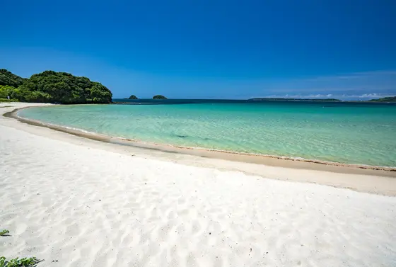 夏は海水浴も！