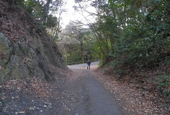 ようやくドライブコースに到着