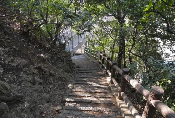 歩道が見えたらゴール