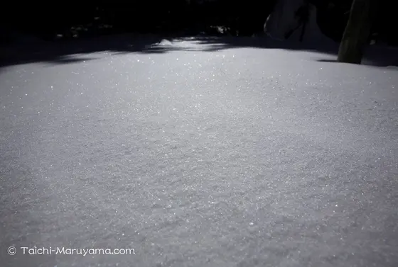 光り輝く新雪