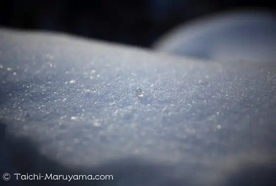 雪と氷の神秘