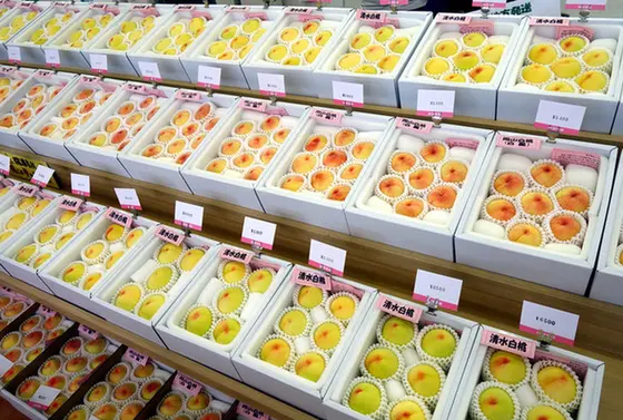 どこまでも続く白桃の道
