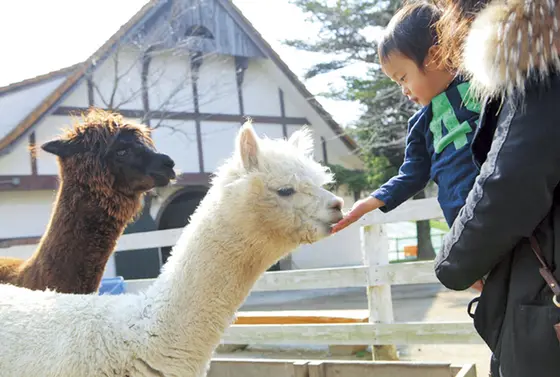 動物とのふれあい