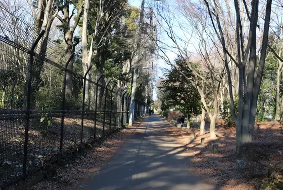 食後のお散歩ということで…