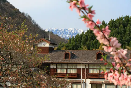 桜の季節もお勧め