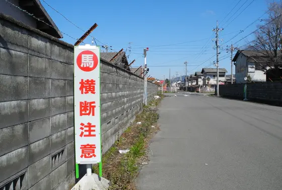 馬様が最優先