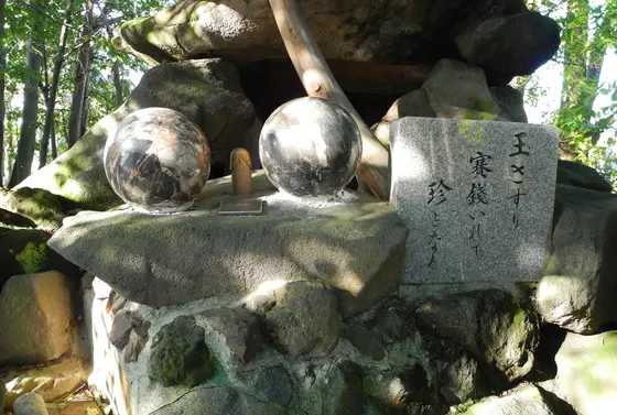 人気の「珍」スポット