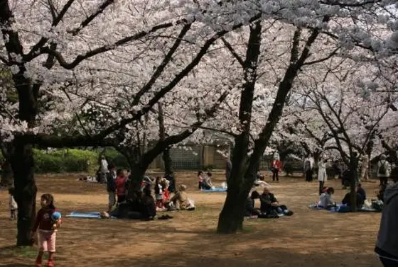 哲学堂公園5