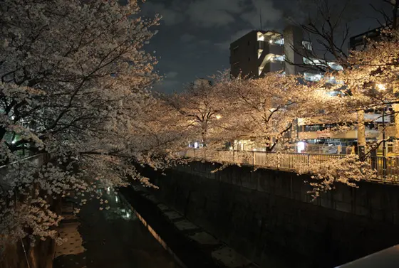 神田川4