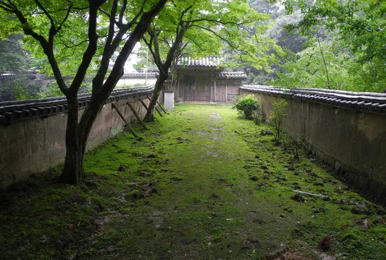 雨のメリットも有る