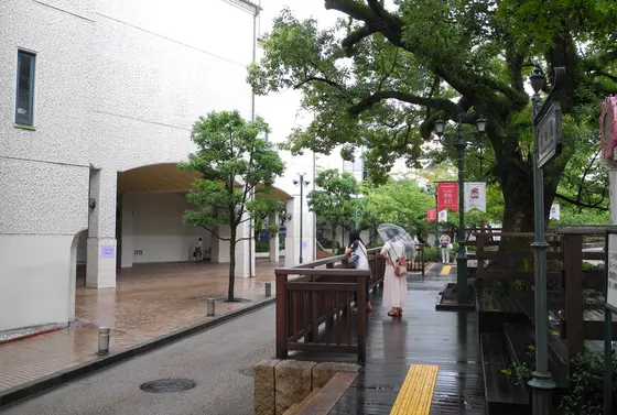 道路反対側も出待ち待機所