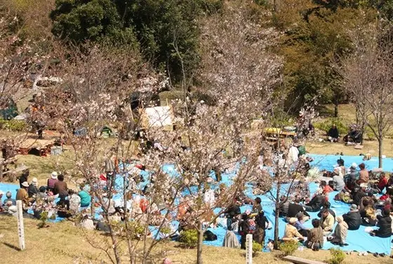4月のはじめには・・・