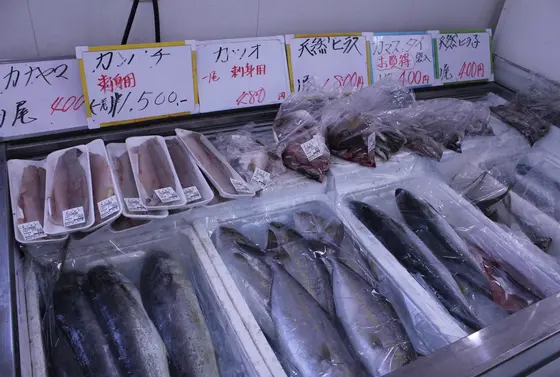 クーラーボックスを持って来よう！お魚いっぱいの直売所