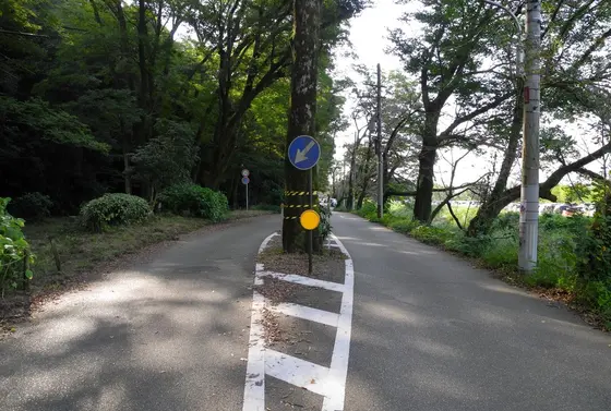 かつての面影が少しある