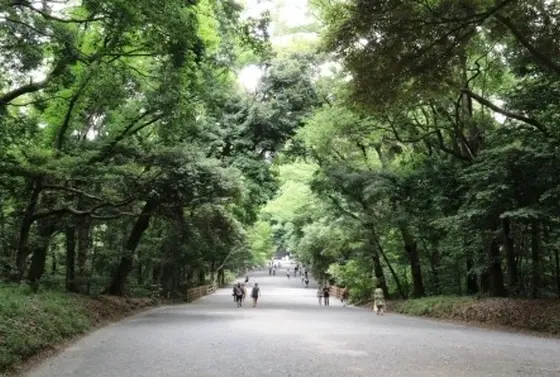 ながーい参道