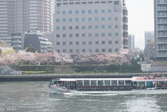 隅田川　遊覧船