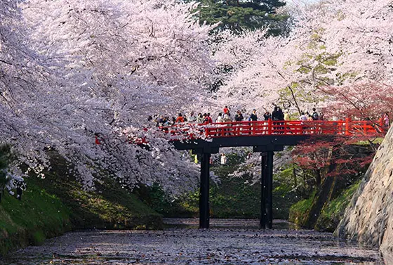 すぐ近くに弘前公園が。