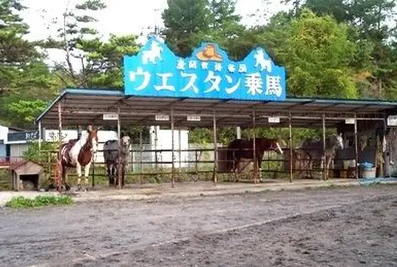 初心者でも安心して乗馬にトライ