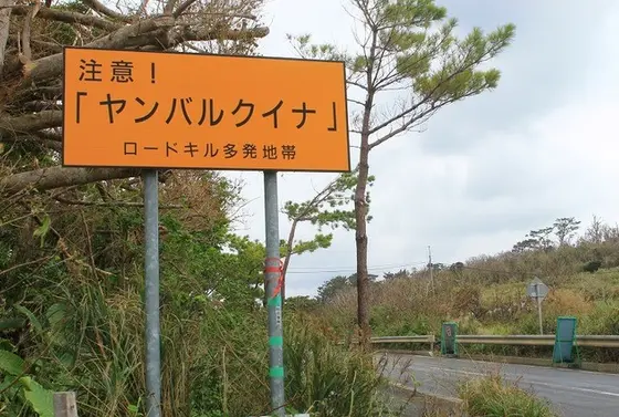 みんなで大切な命を守りましょう！