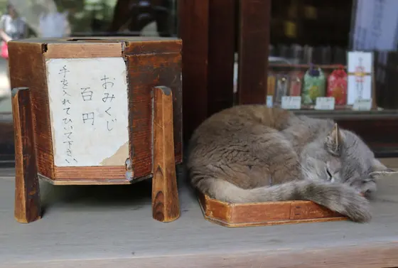 おみくじの隣に・・・