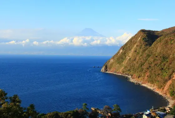 夏の煌めきの丘
