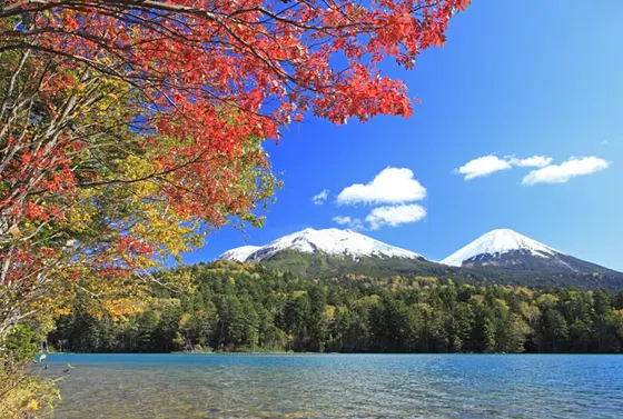紅葉シーズン