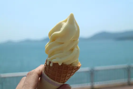 島みかんソフトクリーム