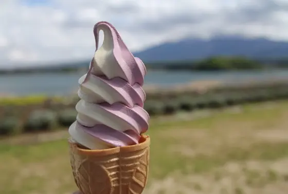 ラベンダーの