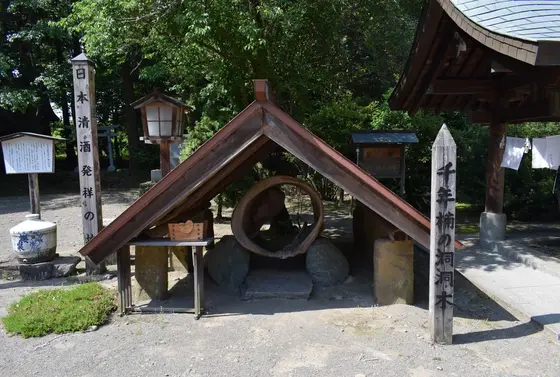 都萬神社 千年楠の洞洞木