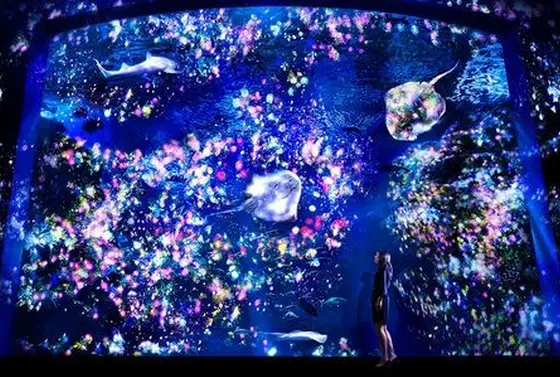 ナイトアクアリウム