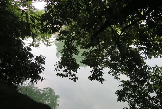 テラスからの眺め