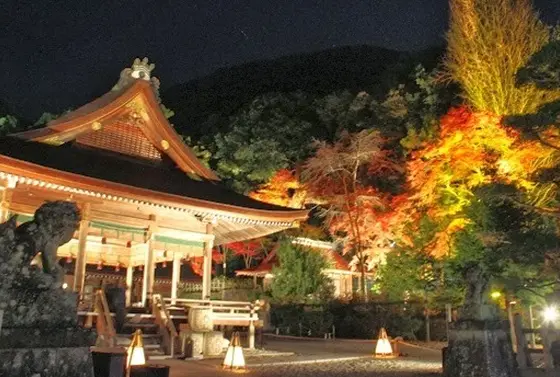 夜はライトアップ