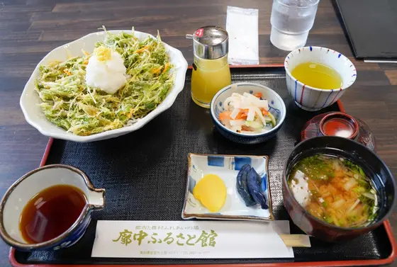 かき揚げちりめん丼