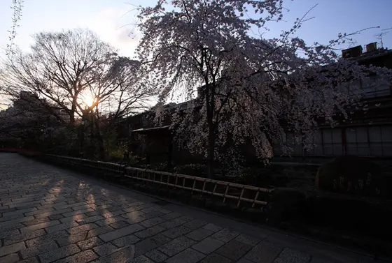 早朝の祇園から清水寺へ