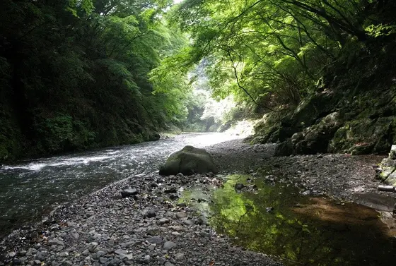 芦川
