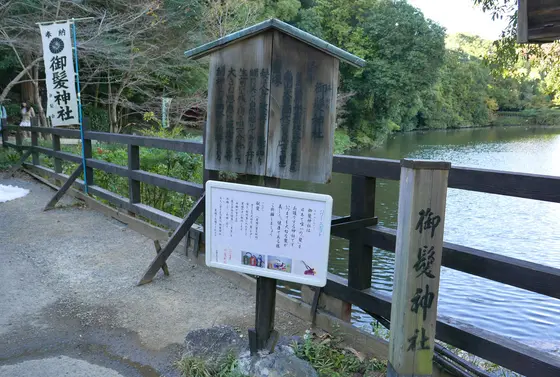 この先もオススメらしい