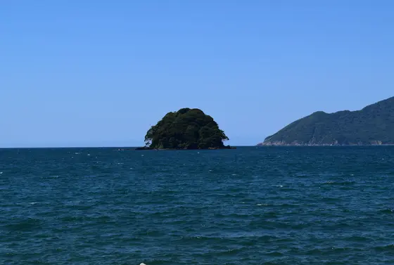 サイクリングロードより蒼島を望む