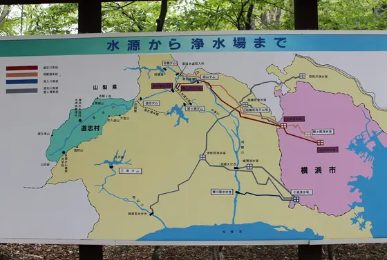 横浜市を想う