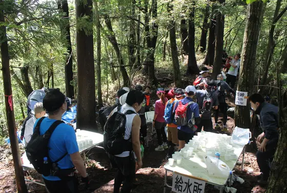 初夏にはトレイルレースが開催