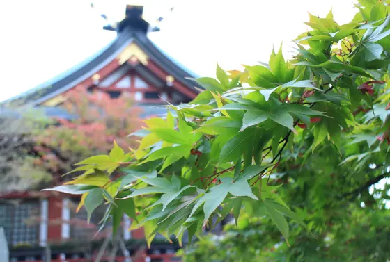 本格的な神社