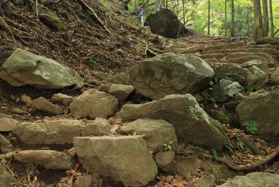 ただし登山は体力要！