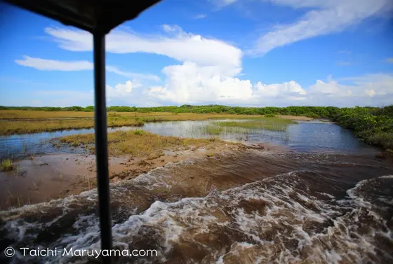 ジープで湿地を行く