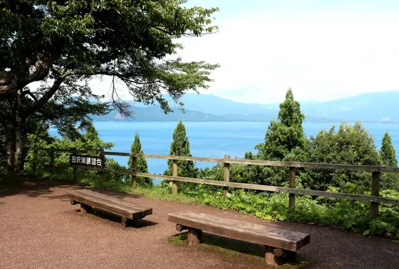 田沢湖マラソンに出ませんか？